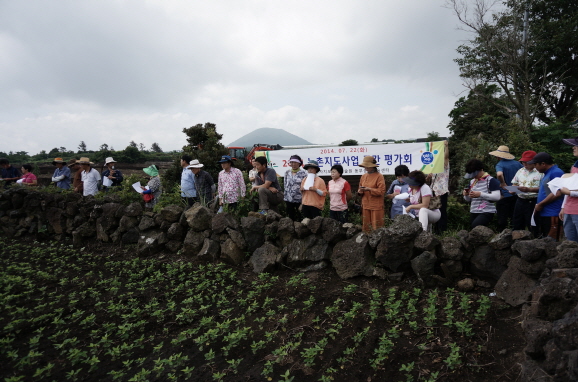 2014 농촌지도사업 중간평가회 개최 결과